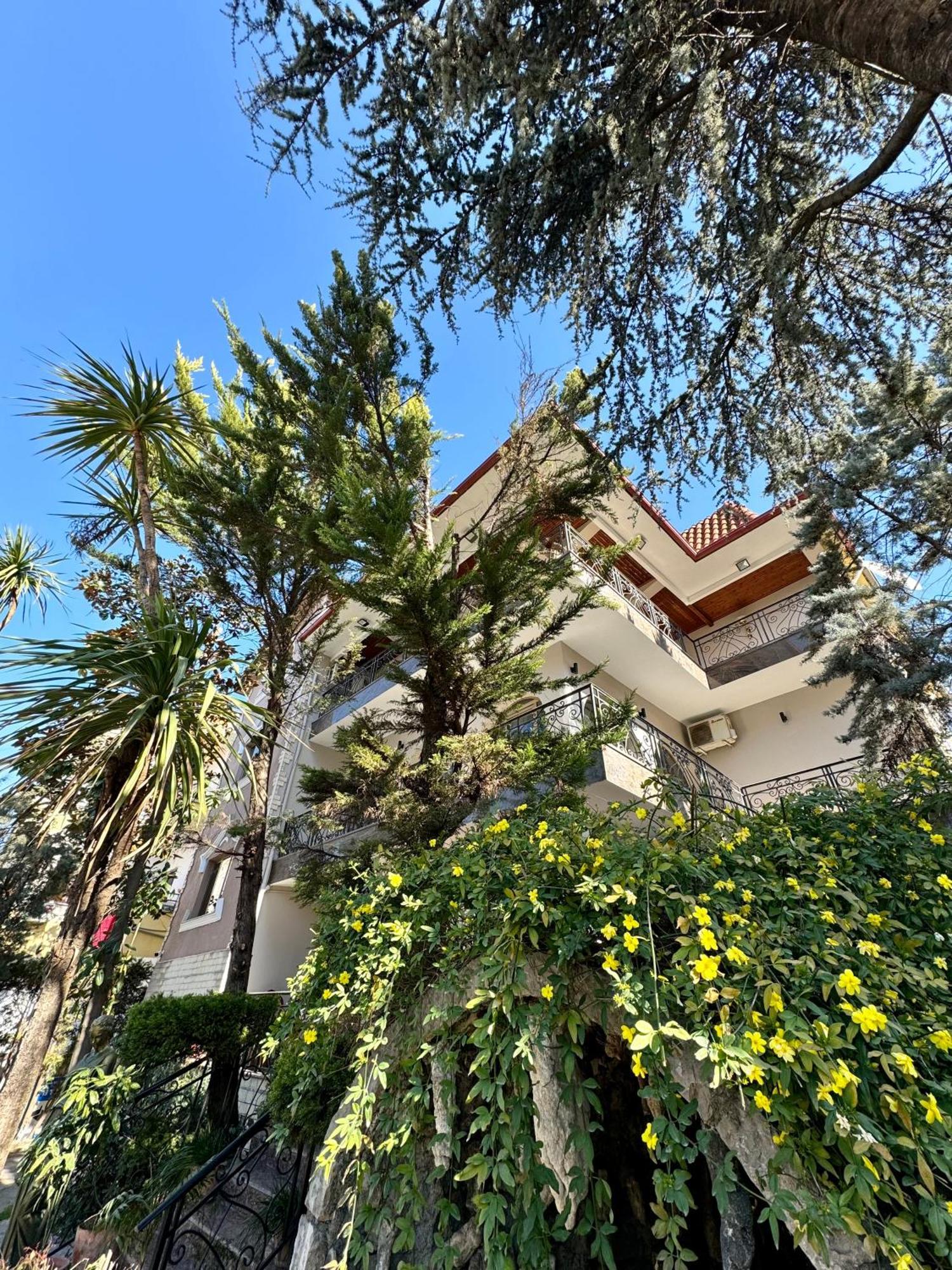 Vila Alizee Hotel Тирана Екстер'єр фото