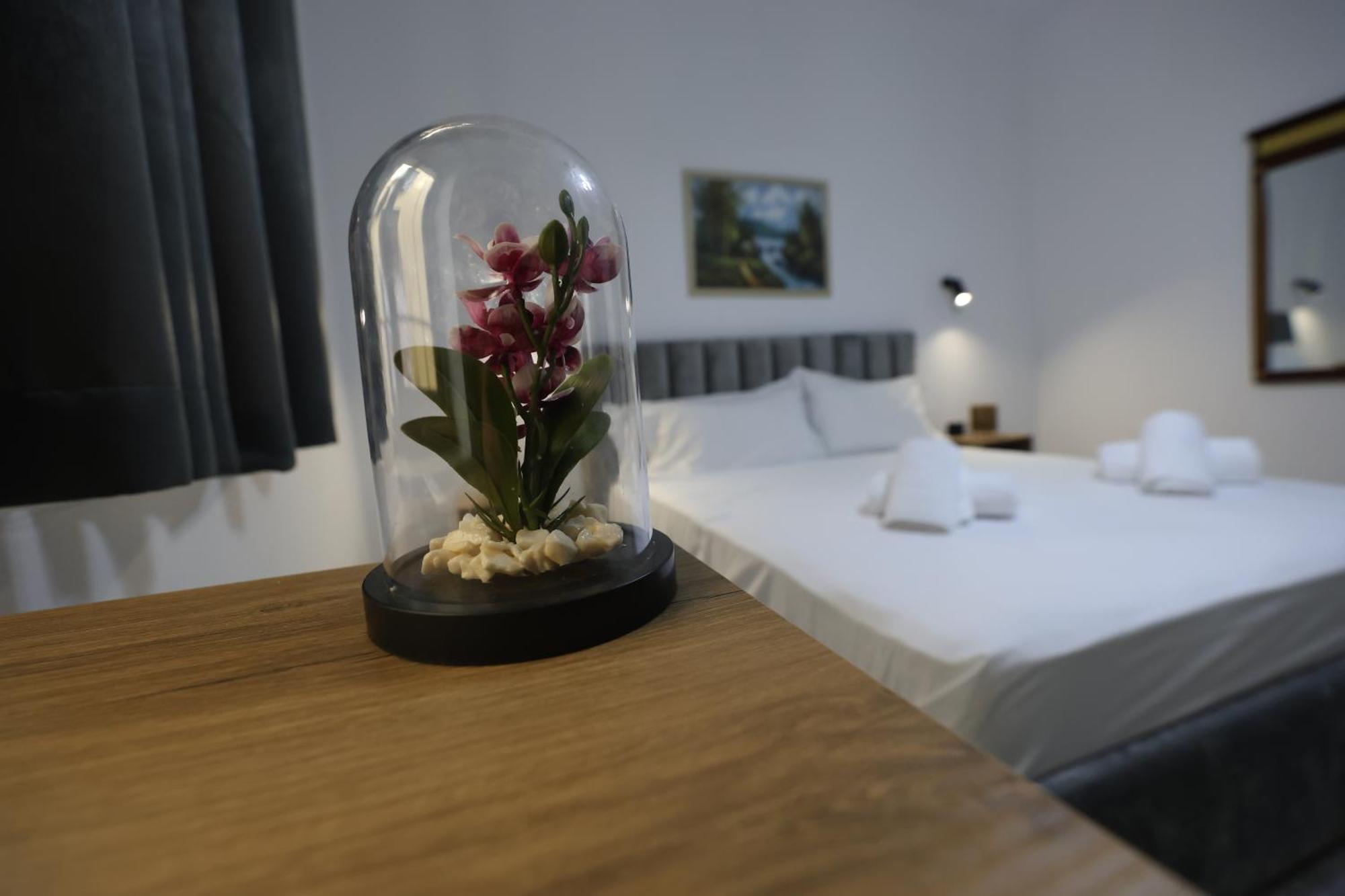 Vila Alizee Hotel Тирана Екстер'єр фото